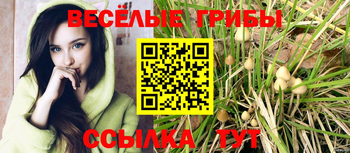 Ногинск  Псилоцибиновые грибы GOLDEN TEACHER  Галлюциногенные грибы мухоморы  Вход с VPN 